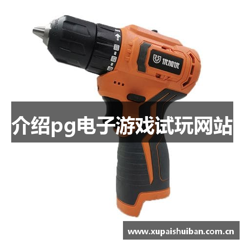 介绍pg电子游戏试玩网站